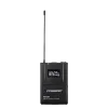 Купить Pasgao PAW-920 Rx_2x PBT-801 TxB по выгодной цене в Новосибирске