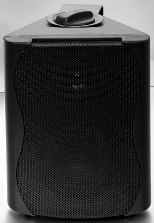 Купить SVS Audiotechnik WS-20 Black по выгодной цене в Новосибирске
