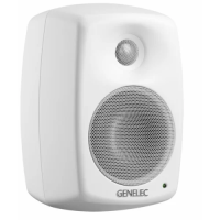 Genelec 4020CWM