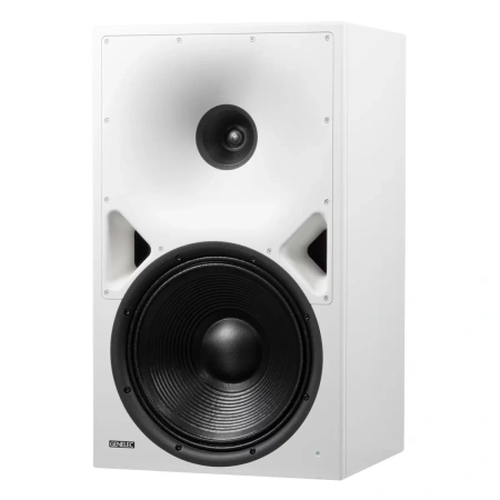 Купить Genelec 8380AW по выгодной цене в Новосибирске