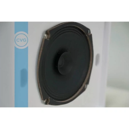 Купить CVGAUDIO WPS6T по выгодной цене в Новосибирске