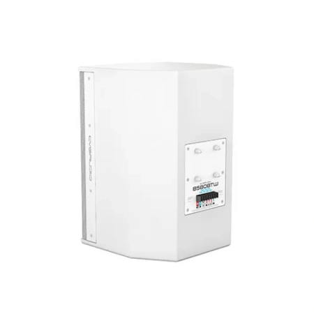 Купить CVGAUDIO BS808TW по выгодной цене в Новосибирске