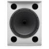 Купить TANNOY VX 15HP-WH по выгодной цене в Новосибирске