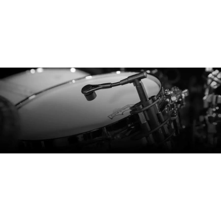 Купить Beyerdynamic TG D58 по выгодной цене в Новосибирске