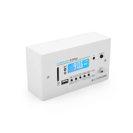 Купить CVGAUDIO R-25W по выгодной цене в Новосибирске