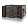 Купить DAS Audio UX-218 по выгодной цене в Новосибирске