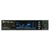 Купить DP Technology DP-200 INSTRUMENTAL по выгодной цене в Новосибирске