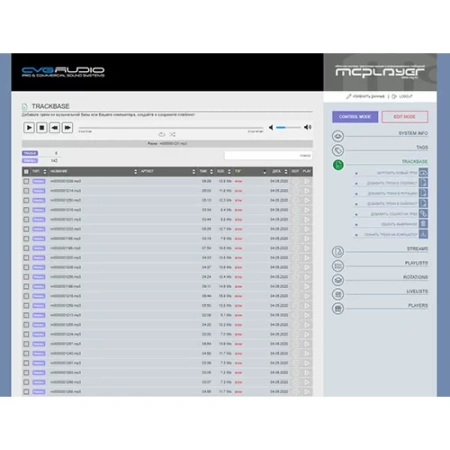 Купить CVGAUDIO MCplayer-12T по выгодной цене в Новосибирске