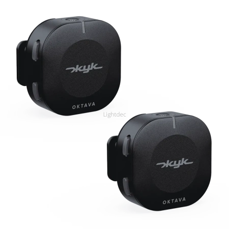 Октава ЖУК-2-Ч