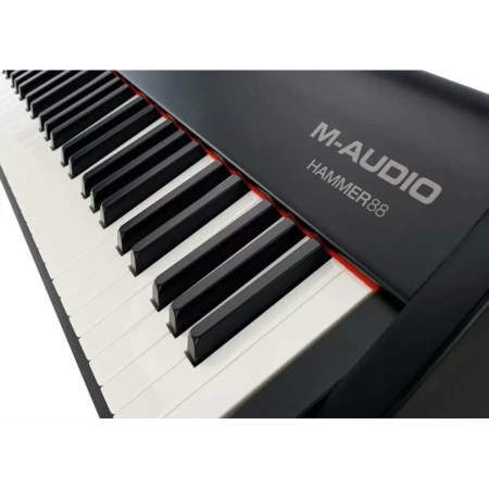 Купить M-audio Hammer 88 по выгодной цене в Новосибирске
