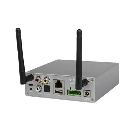 Купить DSPPA DW-0250 по выгодной цене в Новосибирске