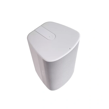 Купить Biamp Desono DX-S8-UB-W White по выгодной цене в Новосибирске