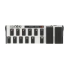 Купить BEHRINGER FCB1010 по выгодной цене в Новосибирске
