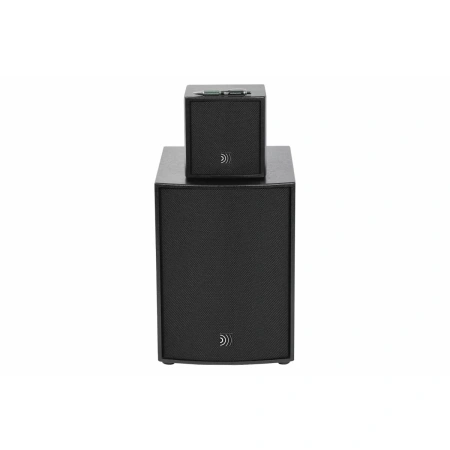 Купить DS Proaudio ANT по выгодной цене в Новосибирске