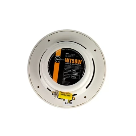 Купить CVGAUDIO WT58W по выгодной цене в Новосибирске