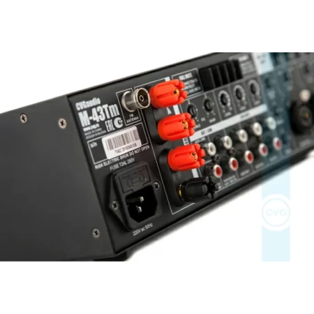 Купить CVGAUDIO M-43Tm по выгодной цене в Новосибирске