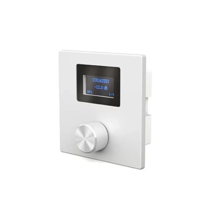 Купить CVGAUDIO P-ZONER-W/IP/A по выгодной цене в Новосибирске