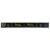 Купить DP Technology DP-220 VOCAL по выгодной цене в Новосибирске