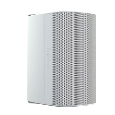 Купить Biamp Desono DX-S8-UB-W White по выгодной цене в Новосибирске