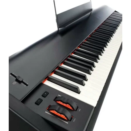 Купить M-audio Hammer 88 по выгодной цене в Новосибирске