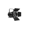 Купить LightCraft Fresnel 300 ZOOM CW/WW по выгодной цене в Новосибирске