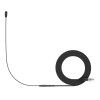Купить SENNHEISER HSP ESSENTIAL OMNI-BLACK-3-PIN по выгодной цене в Новосибирске