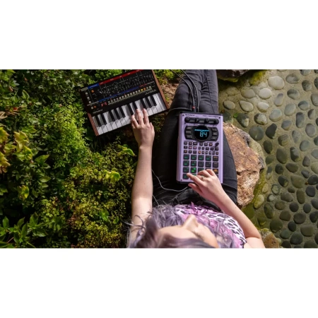 Купить ROLAND SP-404MKII по выгодной цене в Новосибирске
