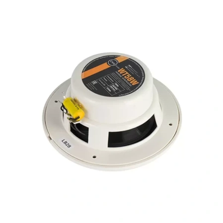 Купить CVGAUDIO WT58W по выгодной цене в Новосибирске