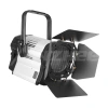 Купить ANZHEE PRO Spectrum Fresnel F 300 по выгодной цене в Новосибирске