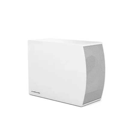 Купить CVGAUDIO SUBone model C-6W по выгодной цене в Новосибирске