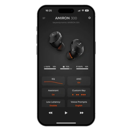 Купить Beyerdynamic Amiron 300 Black по выгодной цене в Новосибирске